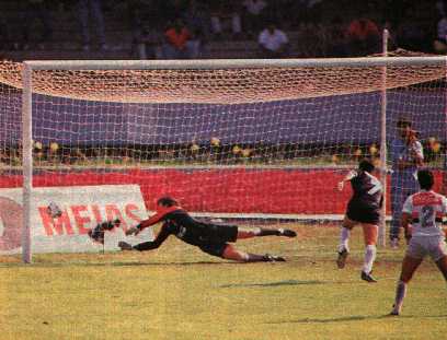 C. R. Vasco da Gama: Campeonato Brasileiro 1989