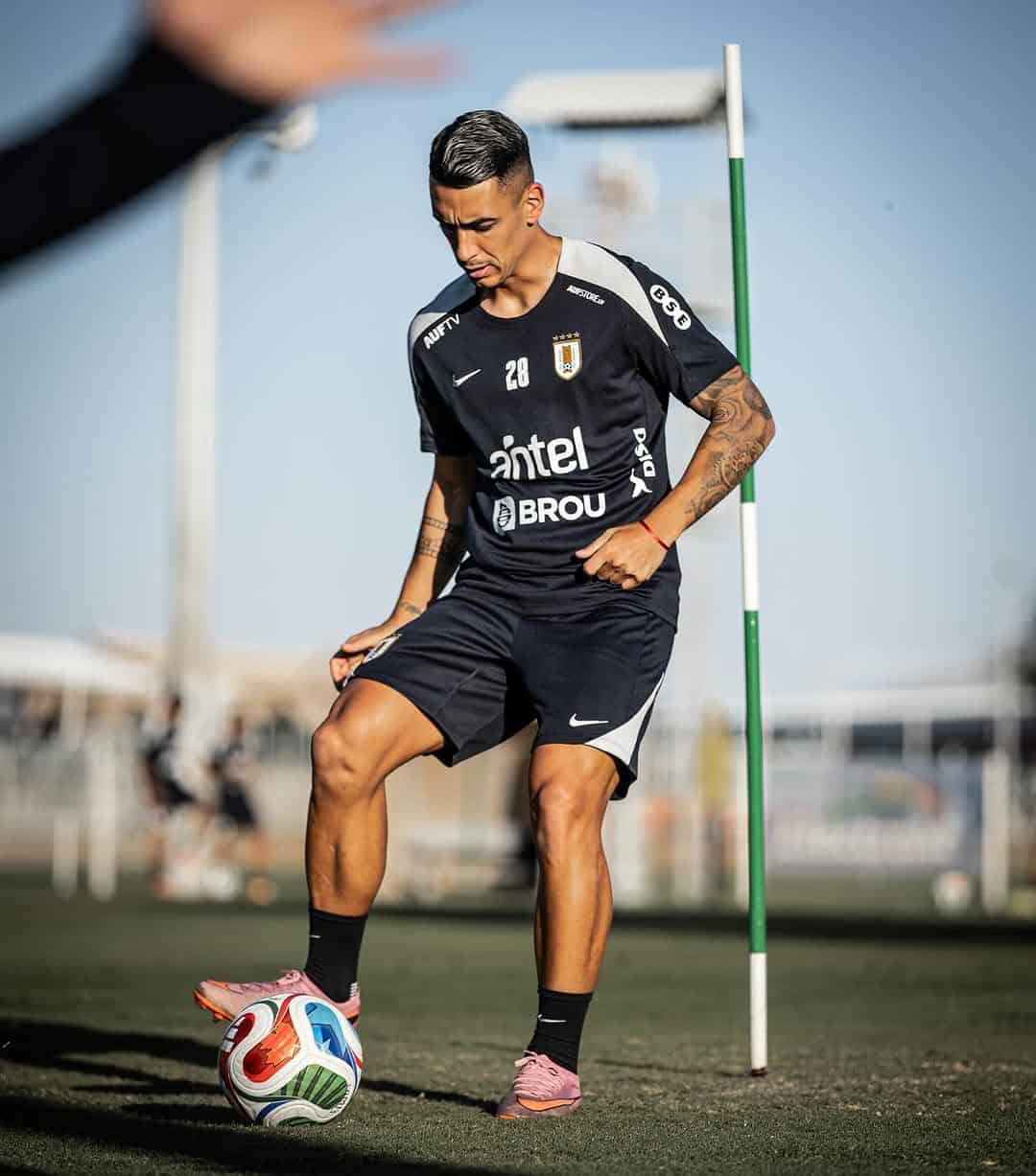 3054f0a1-9e02-49d2-8b0d-8a9dcf0a45e8.jpg.